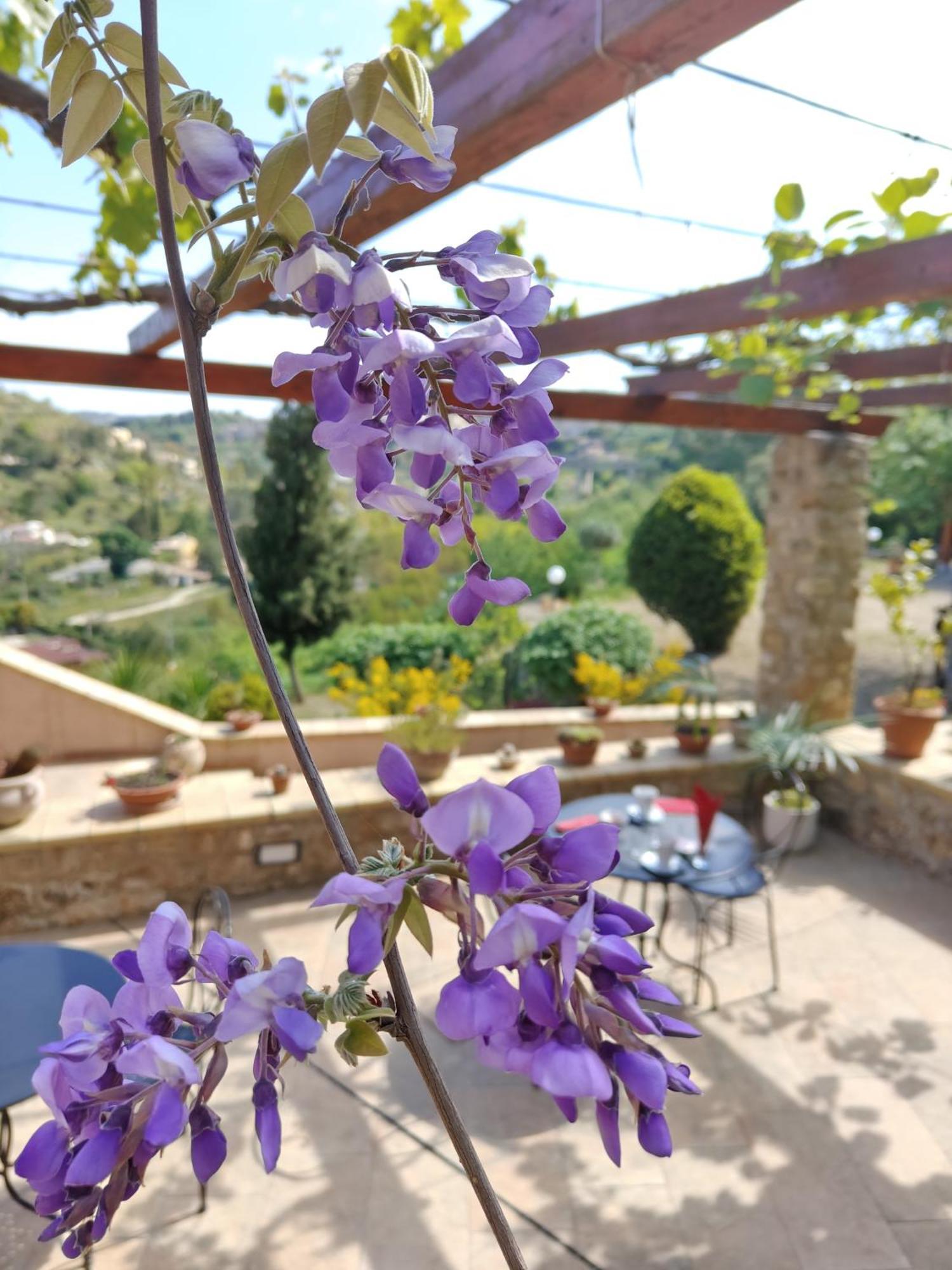 Panorama Suite Piazza Armerina Extérieur photo